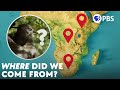 There S No Single Cradle Of Humankind