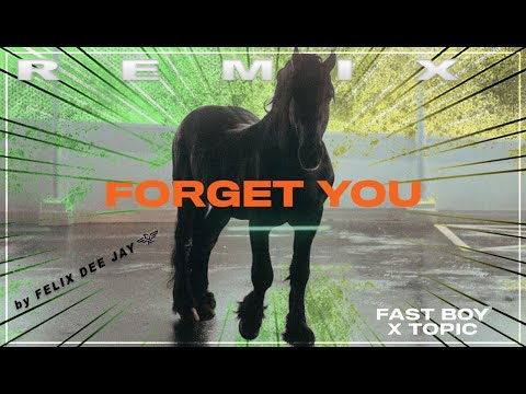 FAST BOY x TOPIC - Forget You (REMIX by Felix)