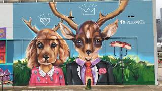 Tour of Graffiti Park in Houston, Texas 2016