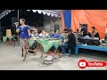 KEMBANG WANGI CITRA MARGARETHA NABILA MUSIK