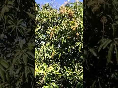 A Tour of Our Farm