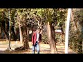 Premi O Premi 2017 Hit Songs