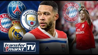 Memphis will Top-Klub-Wechsel – Bayern an Benfica-Talent interessiert | TRANSFERMARKT