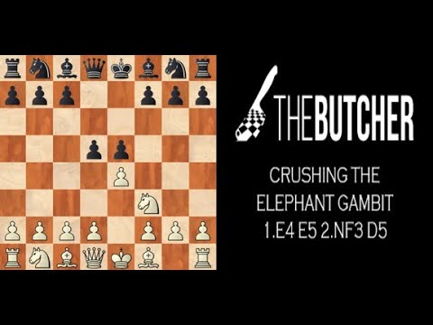 Chess For Beginners: Crushing The Elephant Gambit