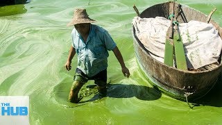 The Most Polluted Bodies of Water On Earth