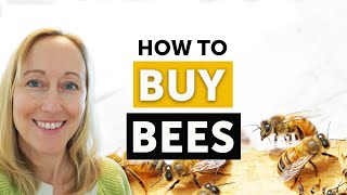 Buying Bees? Don't Make These Mistakes