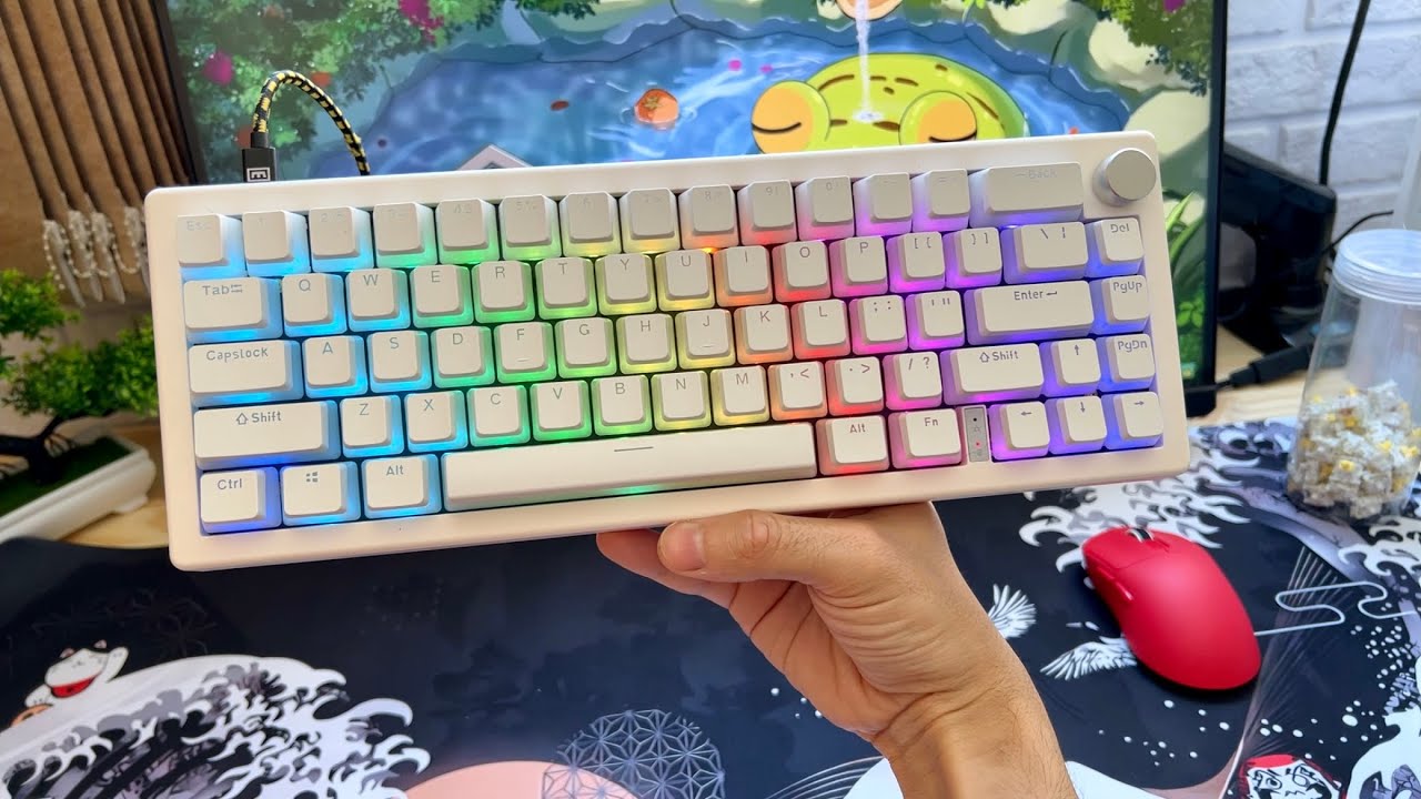 Montando um Teclado Customizado Custo Benefício - GMK67 e Teclas Pudding
