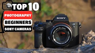 10 Best Sony Cameras for Beginner Photographers in 2025