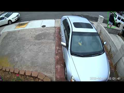 Event recorded on  2023 06 11  10 01 29 am person with dog big black guy front yard #poop