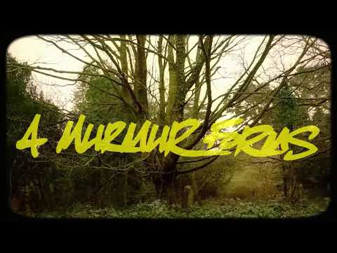 Junior Disprol - A Murmur Forms (Official Video)