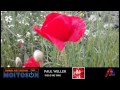 PAUL WELLER - This is no time