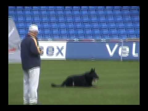 WUSV 2006 Wallace Payne in der Unterordnung