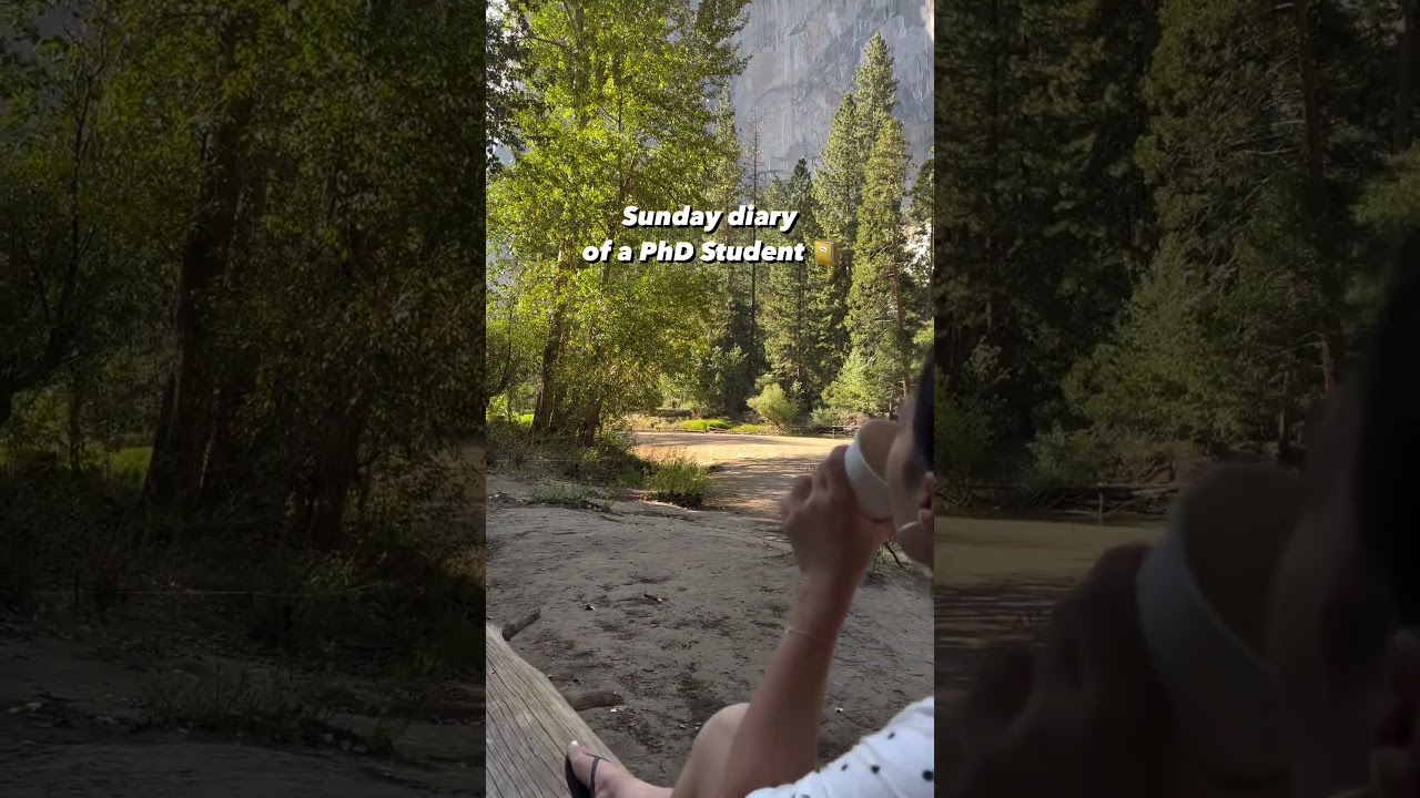 Sunday diary of a PhD Student