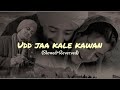 Udd Jaa kale Kawa  || Gadar 2 (slowed+reverved) ..... #lofi #songs#lovesong