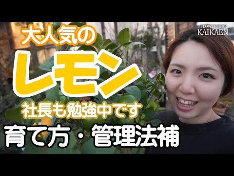 園芸 レモンの利点