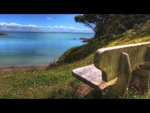 Fons Vandervorst on acoustic guitar - Free Fallin'