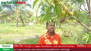 পাহাড়ের কৃষির অর্থনৈতিক উন্নয়নে ভূমিকা রাখবে ডিম ফল