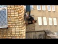 Slava P. - Something from 11. (Parkour and ...