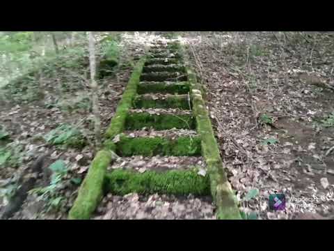 Cum ajungem pe Viaductul Stoieneasa I, calea ferată Deva -Brad