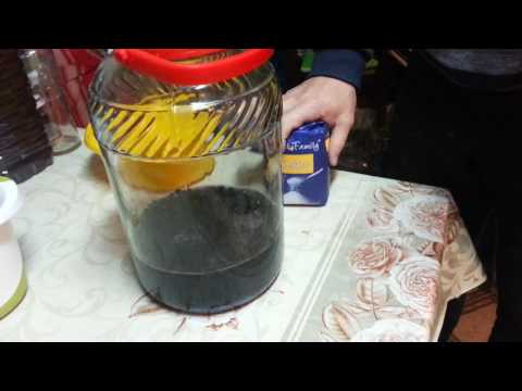 Nalewka z Aronii. Aronia najlepszy przepis na nalewkę z aronii.