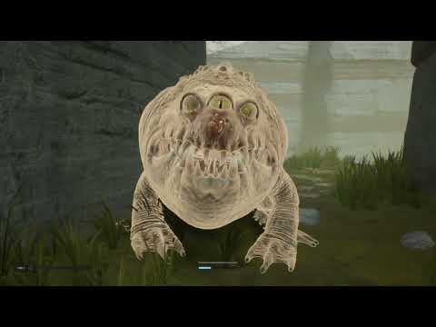 Wall Run For the WIN (Star Wars Jedi: Fallen Order) Part 3