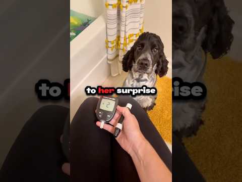 This Dog's Behavior Saved His Owner's Life!
