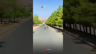 Download lagu Afghanistan army 😍🏳️💪 #Afghanistan#shorts mp3 Download lagu Afghanistan army 😍🏳️💪 #Afghanistan#shorts mp3