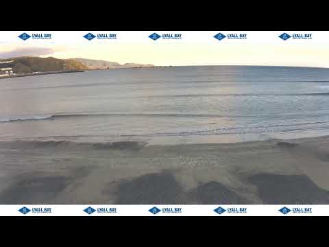Lyall Bay Surf Cam