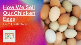 How We Sell Our Chicken Eggs