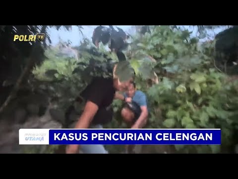 TIM BUSER NAGA POLRESTA PANGKALPINANG RINGKUS PRIA PENGGASAK CELENGAN