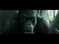 Legend Of Tarzan Akut
