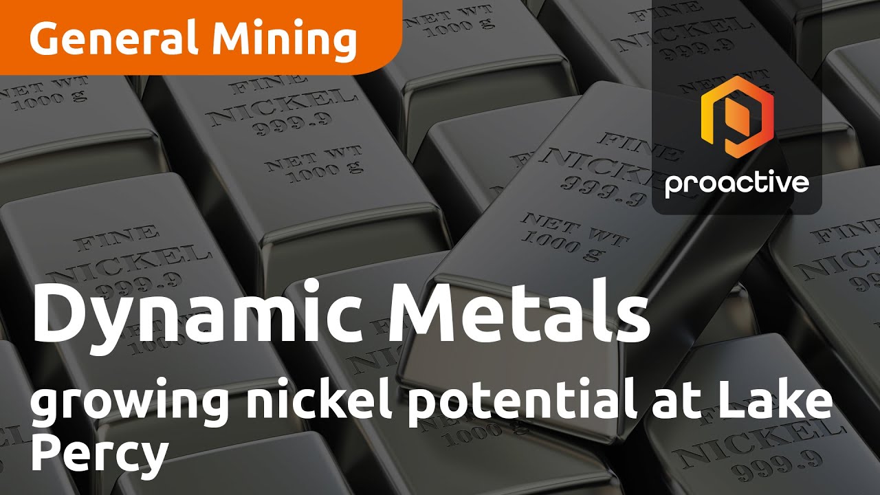 Dynamic Metals sees growing nickel potential at Lake Percy