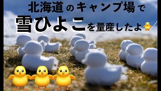 [問卦] 鴨鴨融化了 也將不再生存