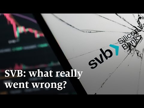Silicon Valley Bank: what really went wrong