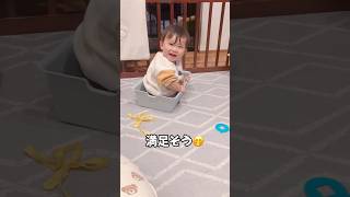箱入り息子の誕生🎁w #赤ちゃん #赤ちゃんのいる生活 #男の子ベビー #生後10ヶ月 #10ヶ月ベビー #クォーター #クォーターベビー #三兄弟 #末っ子 #shorts #箱入り息子