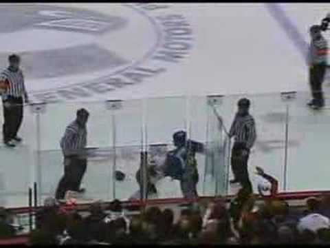 Francois Beauchemin vs Mike Brown