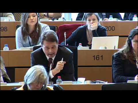 Meint die EU es ernst mit dem Jahr der Bürger?