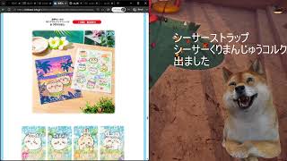 【雑談】ちいかわの映画見てきました。