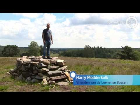 Hoe Loenen zijn Loenermark probeert terug te krijgen - Omroep Gelderland