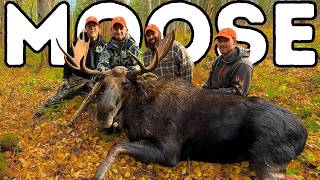 Maine Moose Hunt from Off Grid Cabin for KBC Outdoors