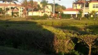 BOY IN OHIO    PHIL OCHS.