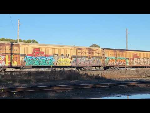 2PM9 SCT Grey Ghost to Melbourne, 1000, 12/7/24, Ararat VIC