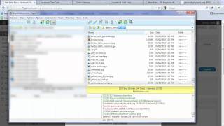 Google Video Sitemap Training