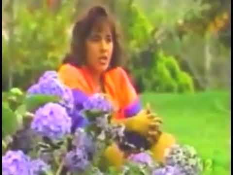 Recordando-Grupo Compacto de E.S.