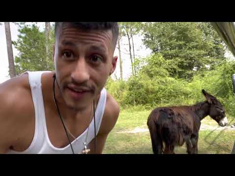 MY CRAZY FARM LIFE! {DAILY^CARLITO}{Ep.67}