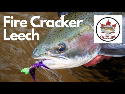 Outfitters North and Versatile Gun Dog