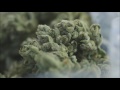 Cypress Hills - Roll It Up Light It Up Smoke It Up [Music Video]