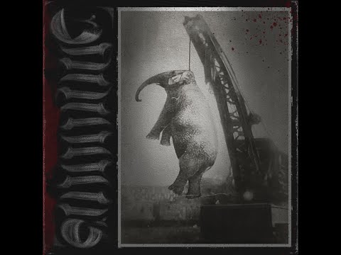 Bamdad - Daar [Prod. Arash Chavoshi]