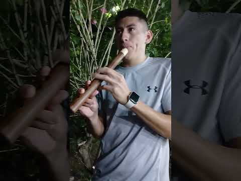 PESEBRE PERICO JUJUY