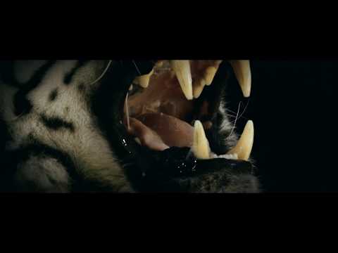 PRINCIPE feat  METALICO - ONE TWO THREE